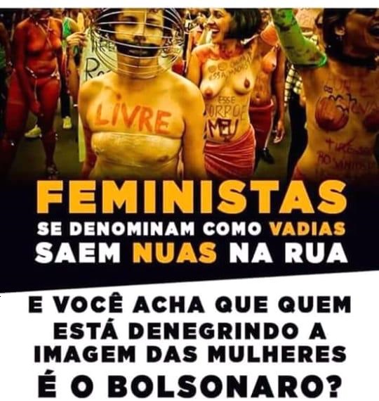 "Feminists call themselves sluts and go out naked in public. And you think Bolsonaro is the one denigrating the image of women?"