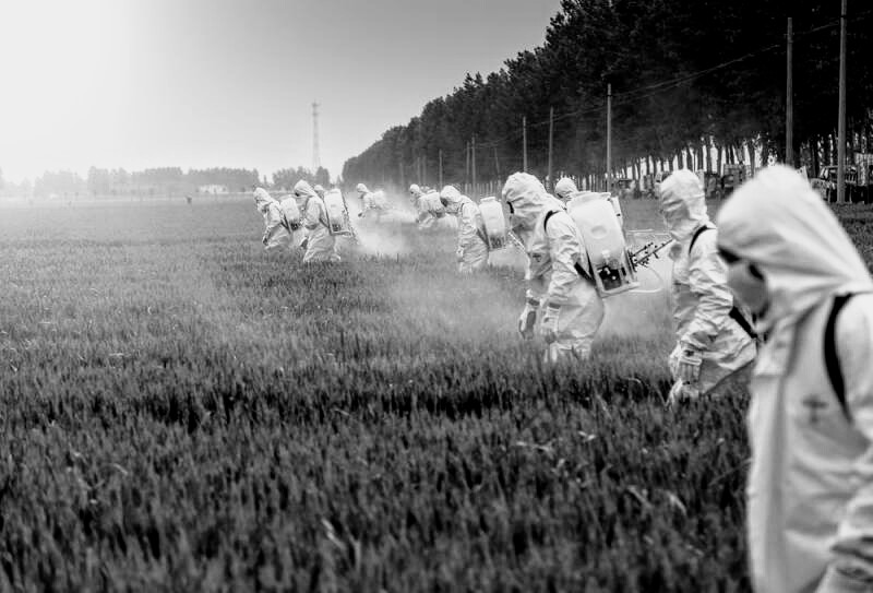 Brazil legalizes 197 pesticides in 2019