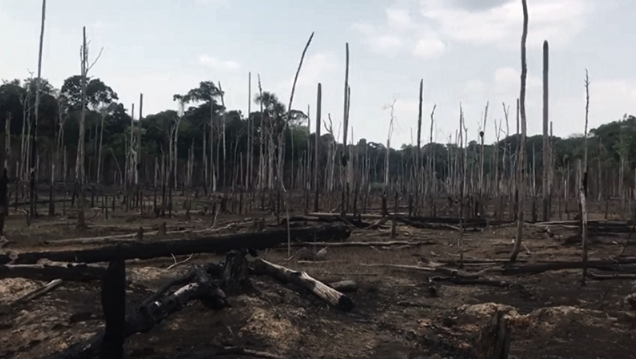 Amazon in flames: on the ground in Porto Velho
