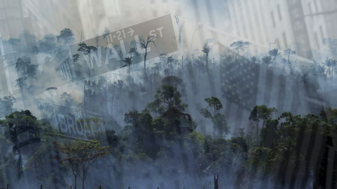 How Wall Street Recolonized Brazil. Part One. BRASILWIRE