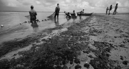 Disaster: Brazilian government can’t find oil spill source