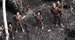 Genocide: Miners and loggers target uncontacted tribal lands under cover of Covid-19